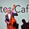 A man playing an upright bass