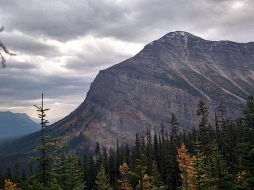 photo of mountain range against cloudy sky with evergreens in foreground