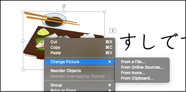 Software screenshot saying "Change Picture"