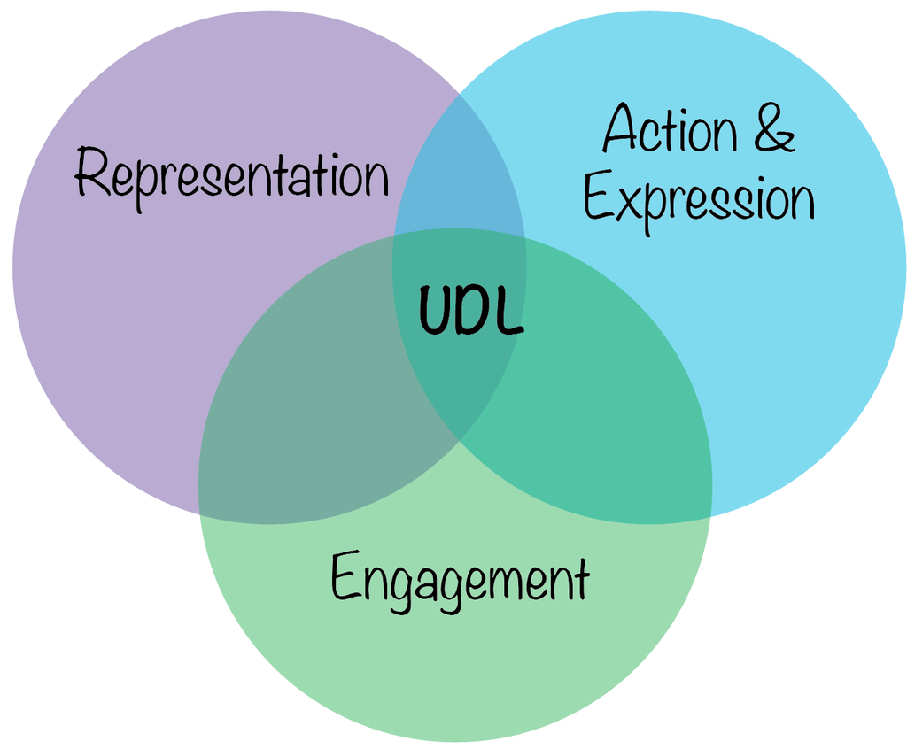 universal design for learning assignment