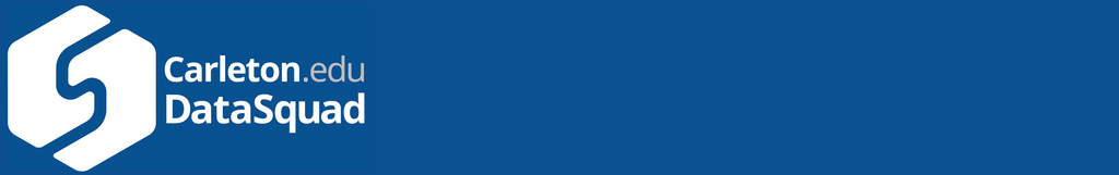 DataSquad banner with logo