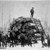 Timber Logging in 1900