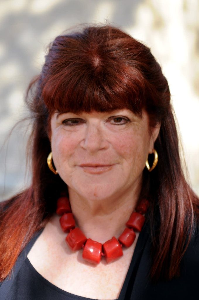 Deborah Appleman, Hollis L. Caswell Professor of Educational Studies