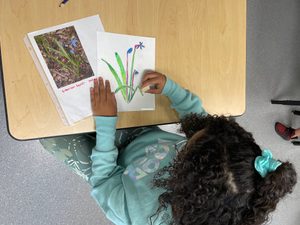 Elementary Children draw invasive species