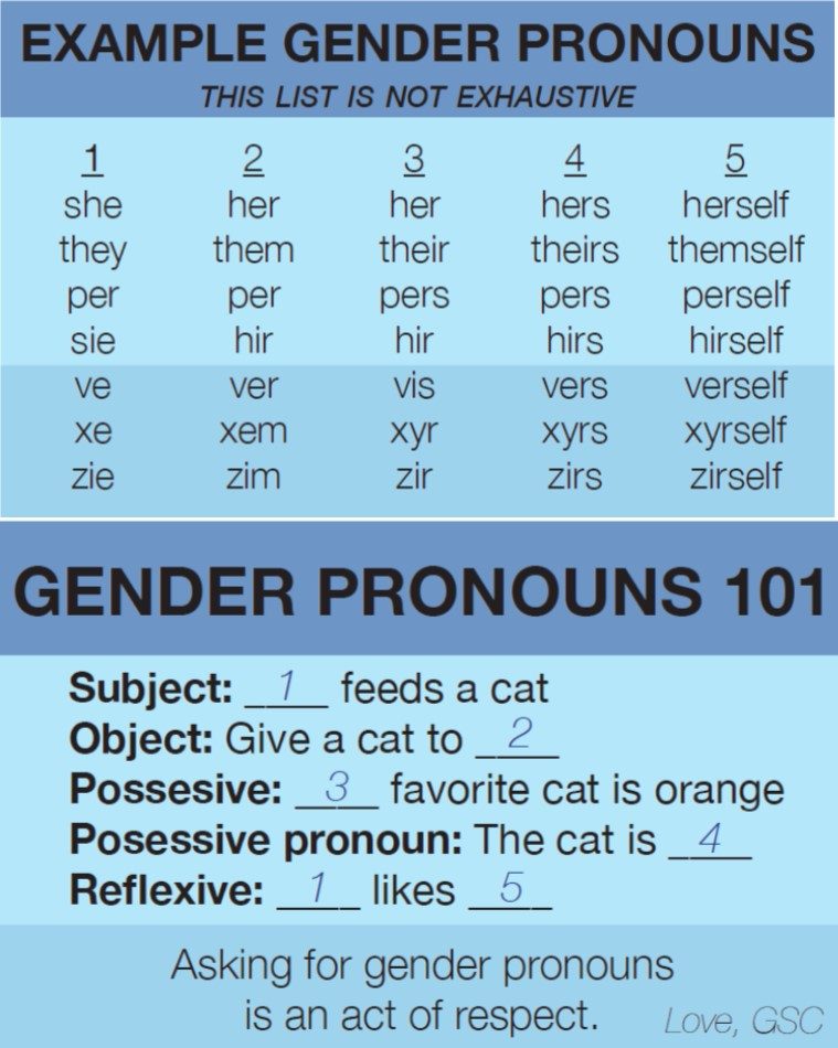 what does pronoun mean