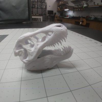3D Printed T-Rex Skull