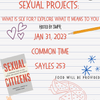 Sexual Projects Workshop