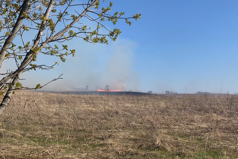 A controlled burn deep in the Arboretum