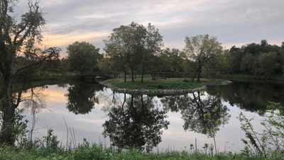 The Arb