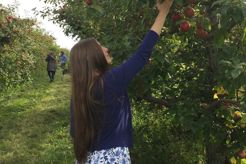 girl picking apples