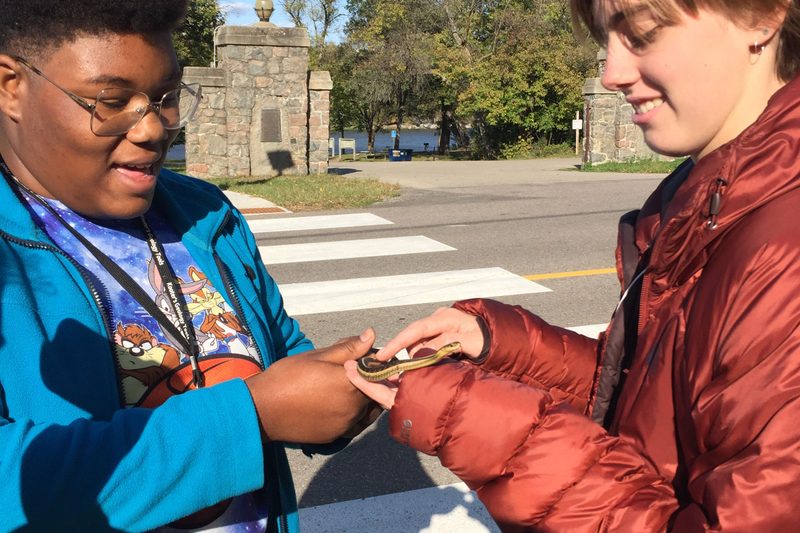 girls handling garter snake