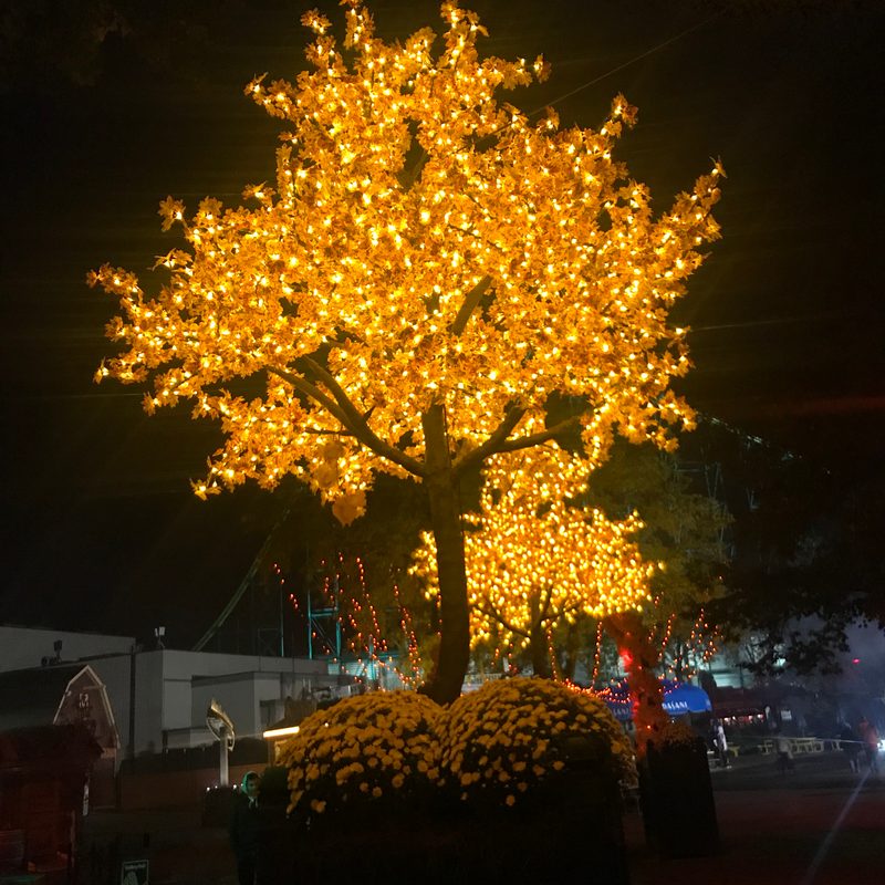 A picture of lit tree, done in a traditional Halloween style