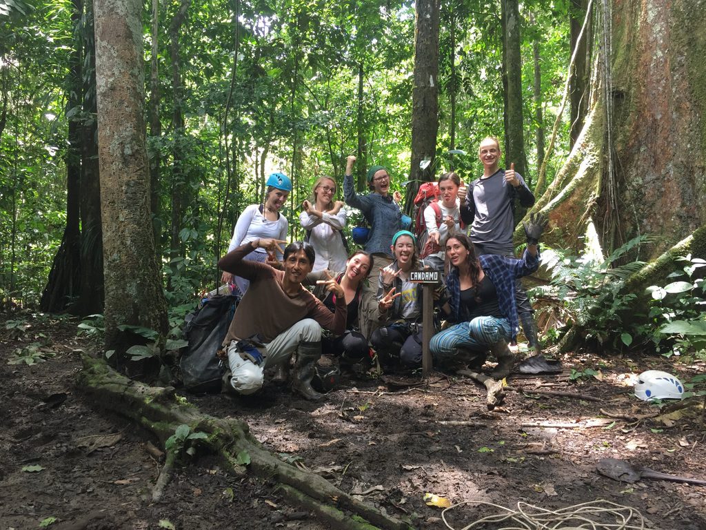 people in the jungle