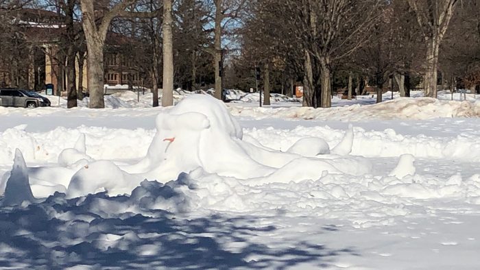 Octopus snow