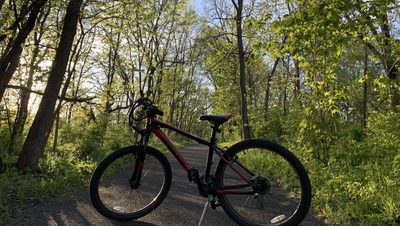 bike in a forest