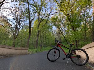 bike and forest