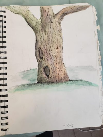 Field Drawing Assignment