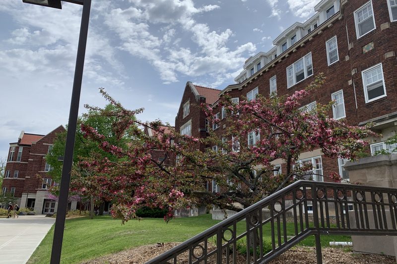 Nourse hall was my dorm for my freshmen year