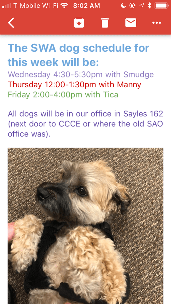 SWA Dog email