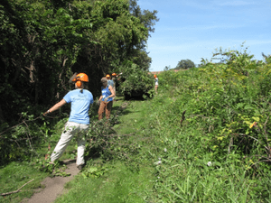 Example of arb crew at work.