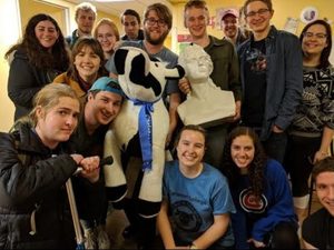Picture of the nolympics cow and schiller