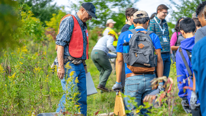 NSW group planting trees