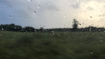 Rain droplets on a car window