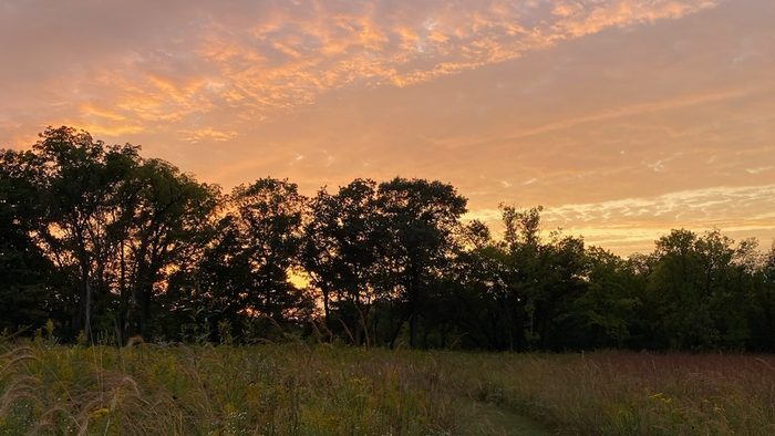 arb sunset