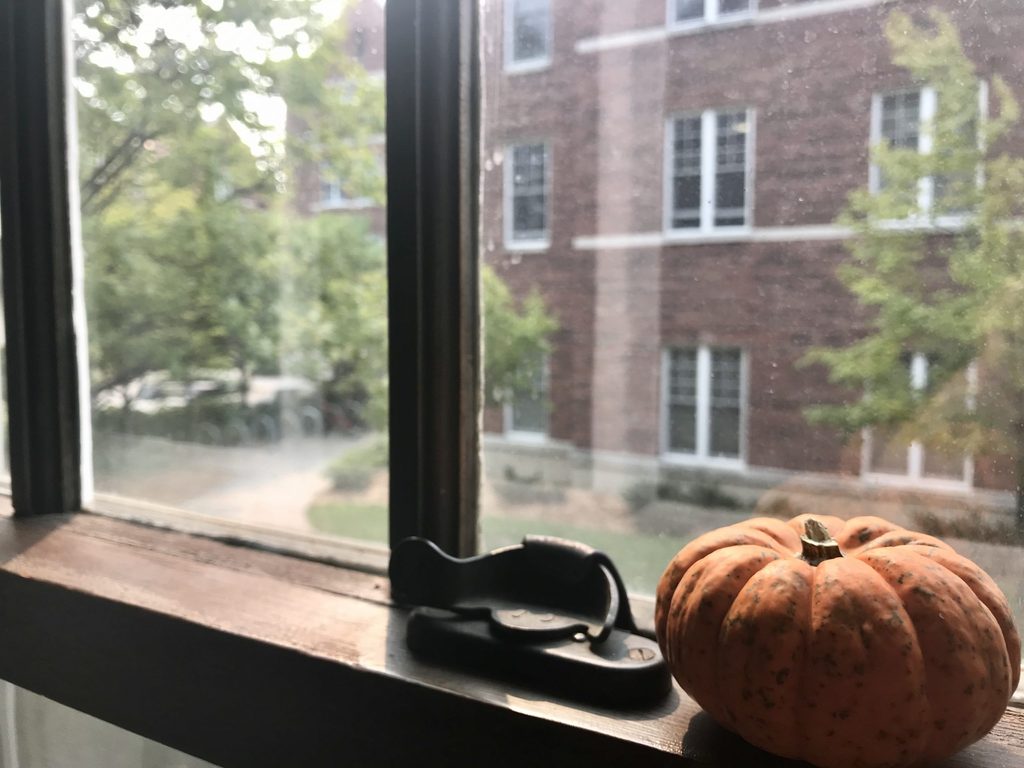 Friday Flowers Pumpkin