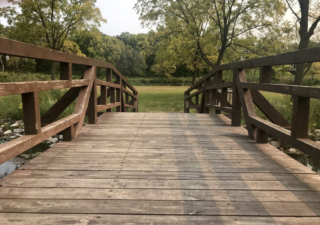 Into the Arb