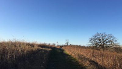 arb path