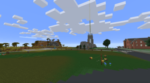 Minecraft bald spot