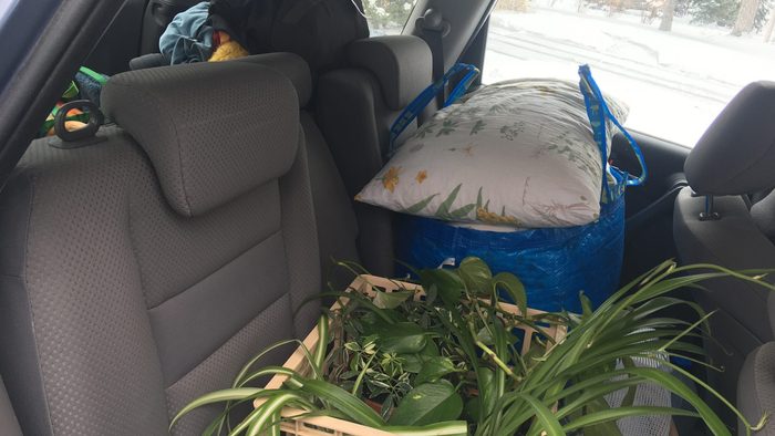 wow plants