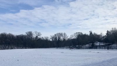 snow!