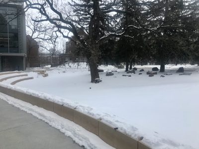 view from Anderson