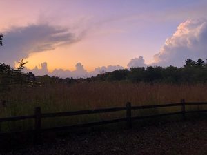 B(arb) sunset