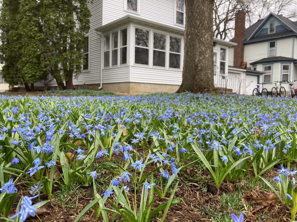 flowers outside sci fi house