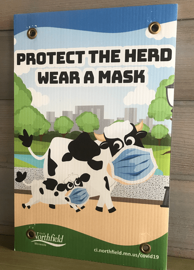 Saturday Adventures Saturday Adventures