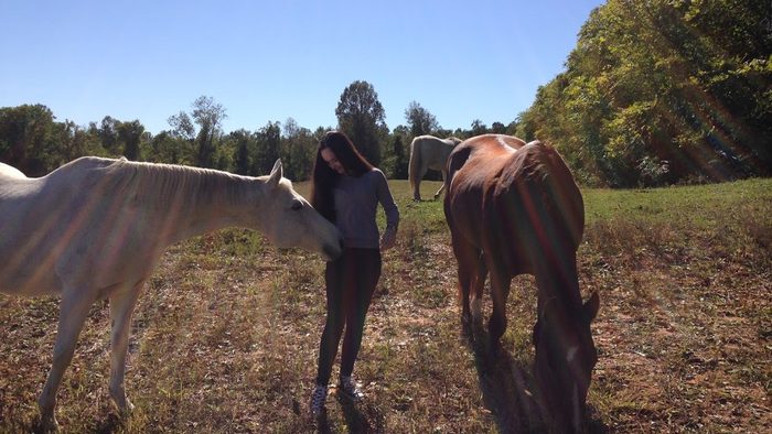 McKenna saying hello to some horses