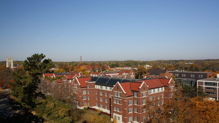 View from Watson