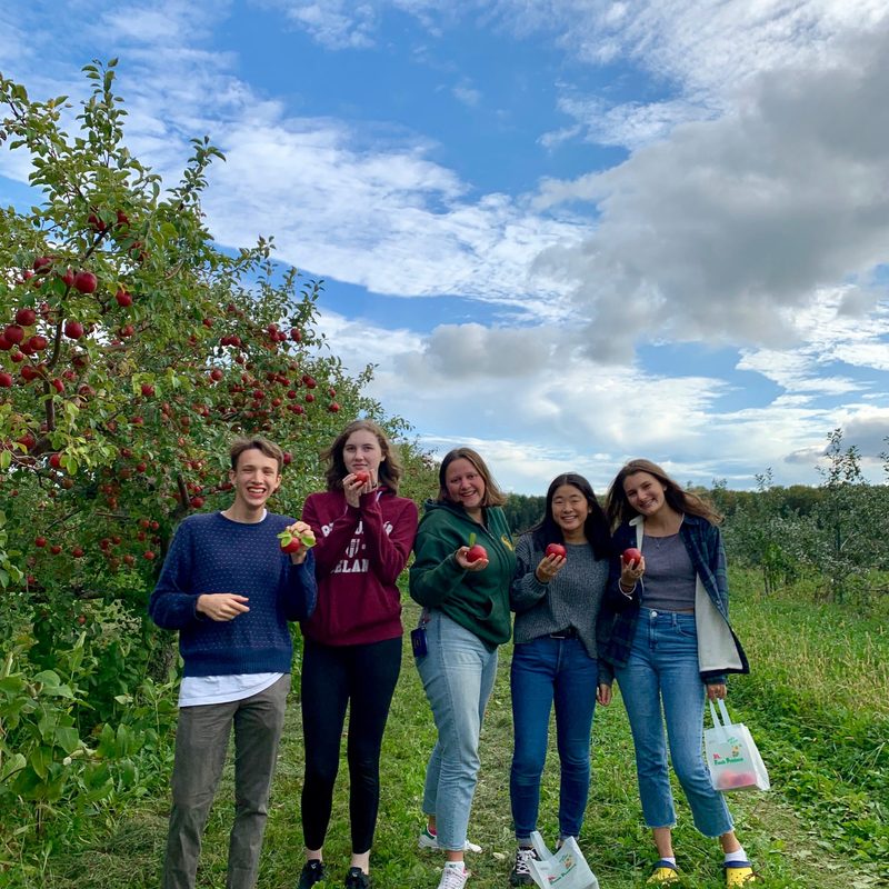 apple orchard