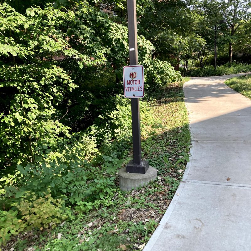 A "No Motor Vehicles" sign on campus