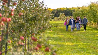 A group of friends apple picking