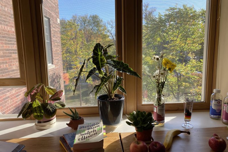 window sill