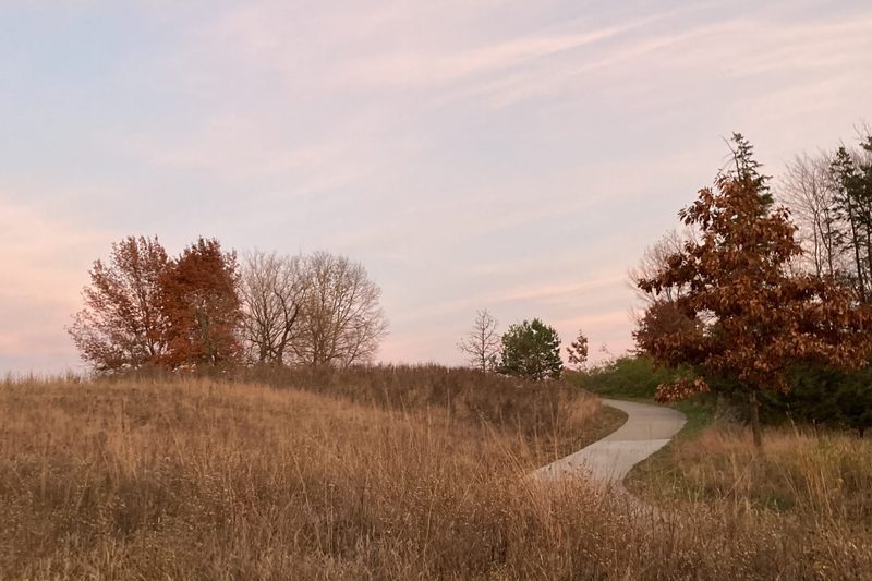 Arb Sunset