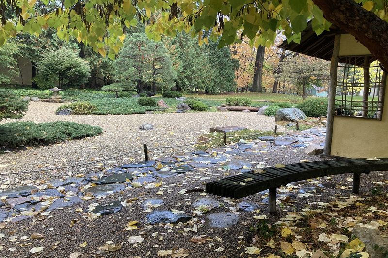Japanese Garden