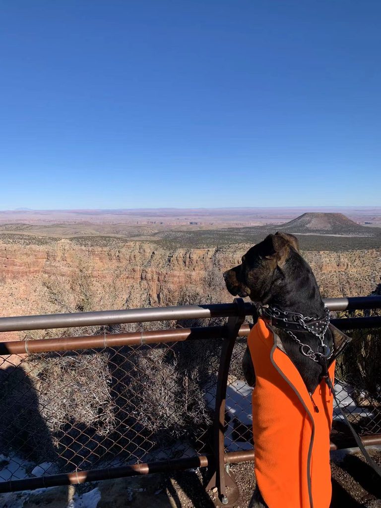 Grand Canyon