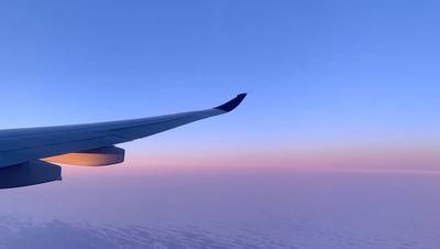 flight view