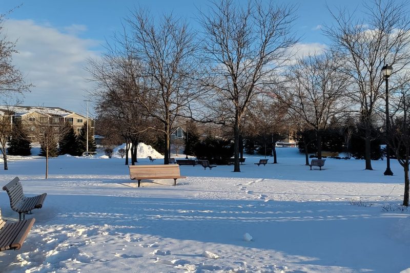 The park after snowfall