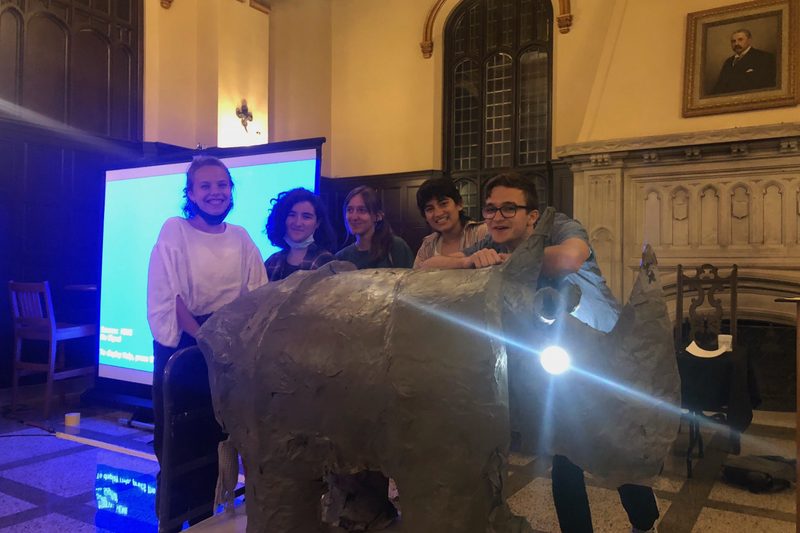 Rhino + Friends